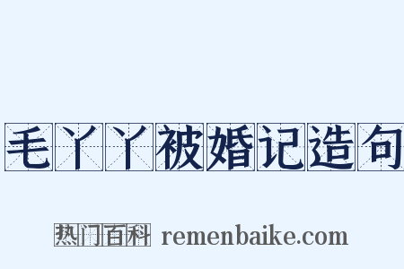 毛丫丫被婚记造句是什么意思的图片